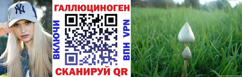 ссылка на мегу зеркало Малая Вишера Галлюциногенные грибы Magic Shrooms